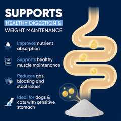 Woofy Pancreatin digestive support label close-up showing third-party purity testing