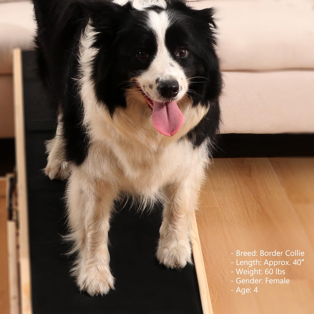Woohoo Lab dog ramp 41-inch length provides generous ramp surface.