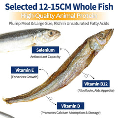 WootPet capelin crunch close-up highlights a crisp texture that supports frequent chewing.