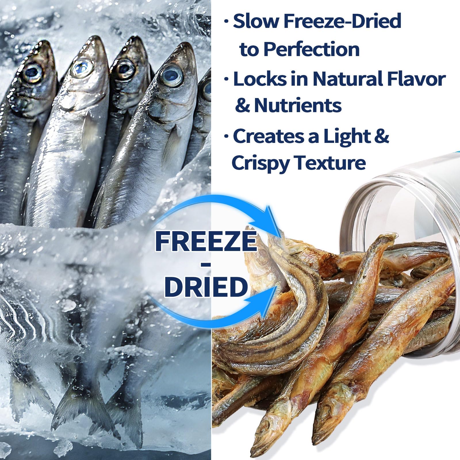 WootPet capelin treats highlight natural oils for a glossy coat and healthy skin cues.