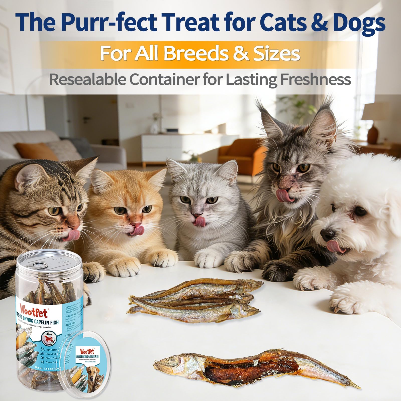 WootPet capelin treats in travel-friendly packaging for on-the-go cats and dogs.