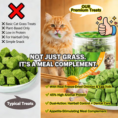 WootPet cat grass infused treats visible for fiber support