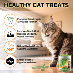 WootPet crunchy texture hints dental-friendly chewing action