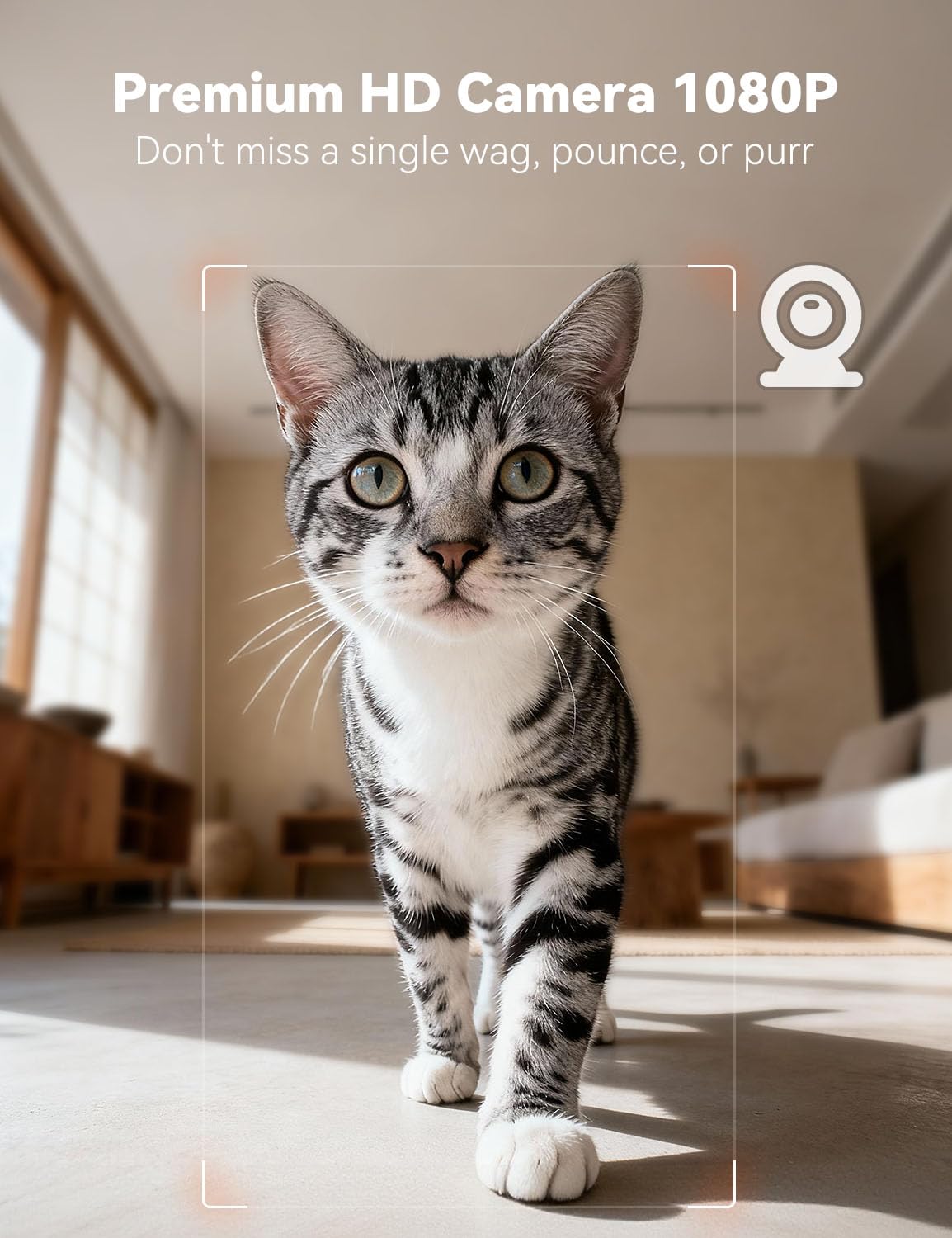 WOPET feeder camera top view for wider room visibility.