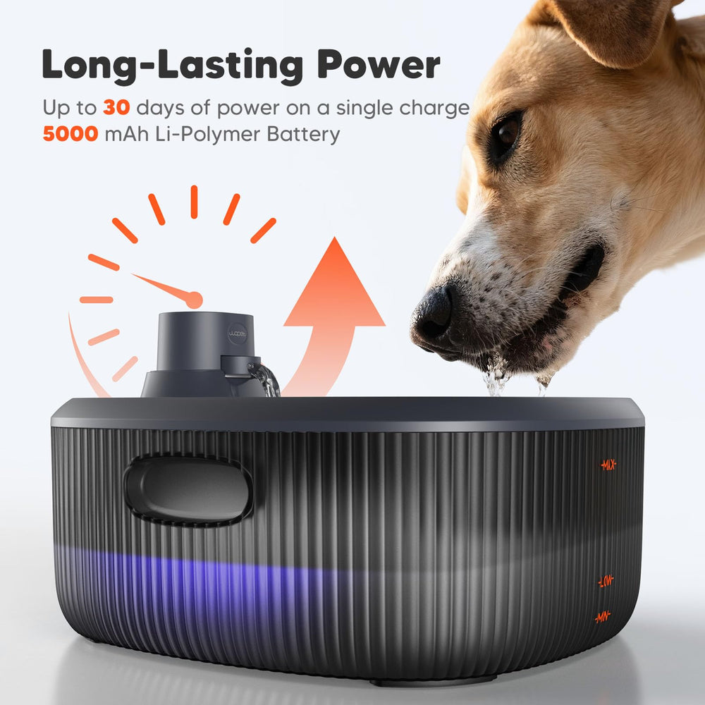WOPET bedroom or living room placement with wireless setup.