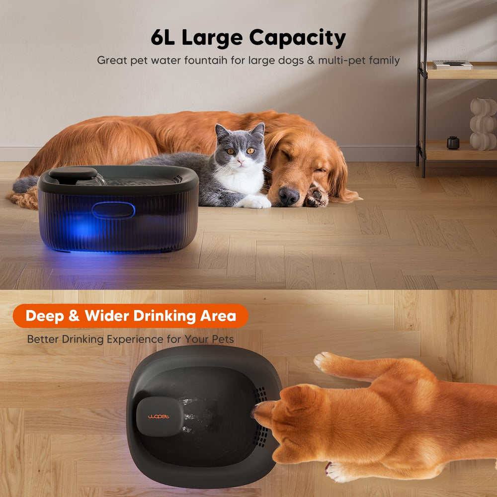 WOPET dog fountain showing wide drinking area for multiple pets