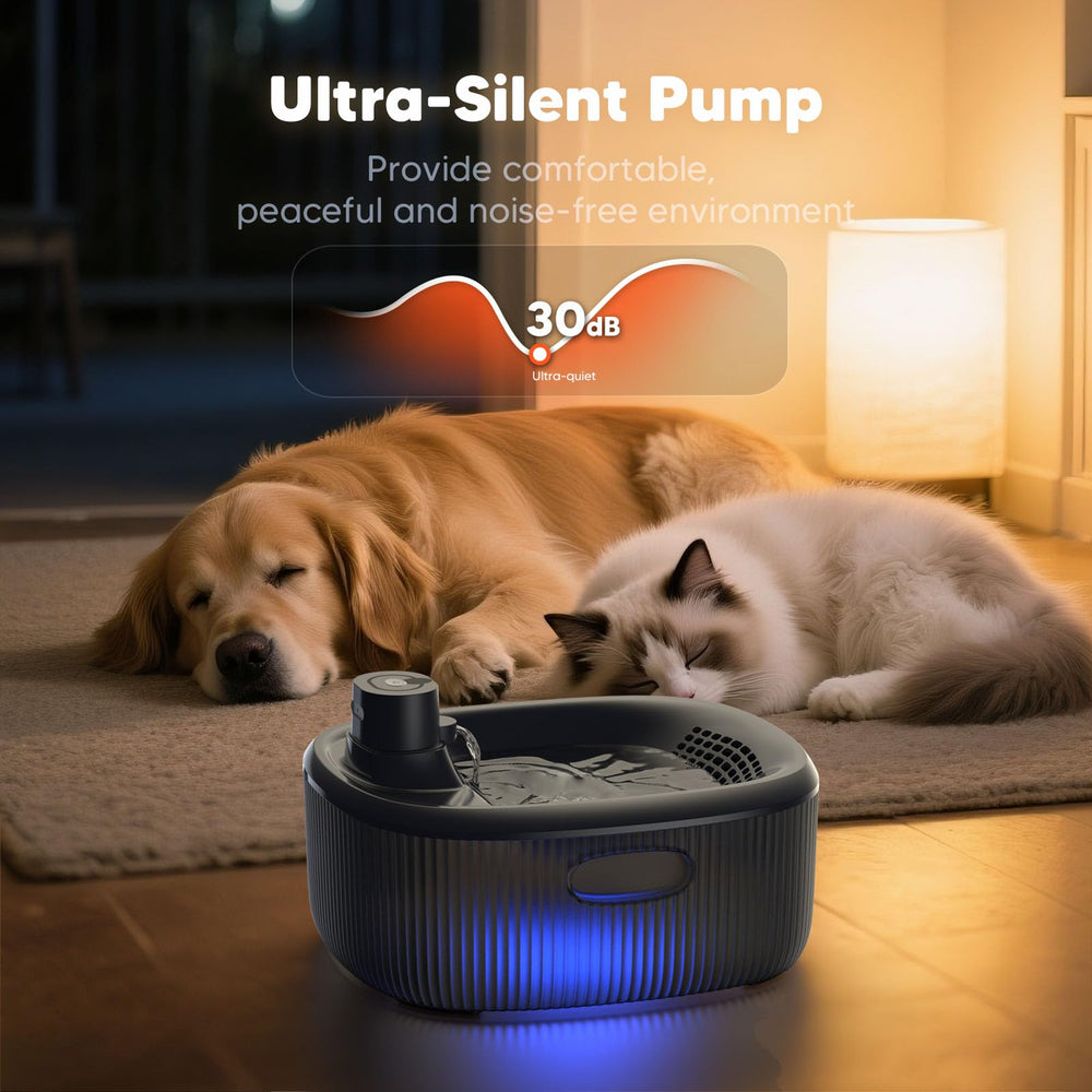 WOPET easy to assemble and clean for busy households.
