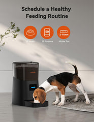 WOPET feeder safety lock and seal protect food from tampering and moisture.
