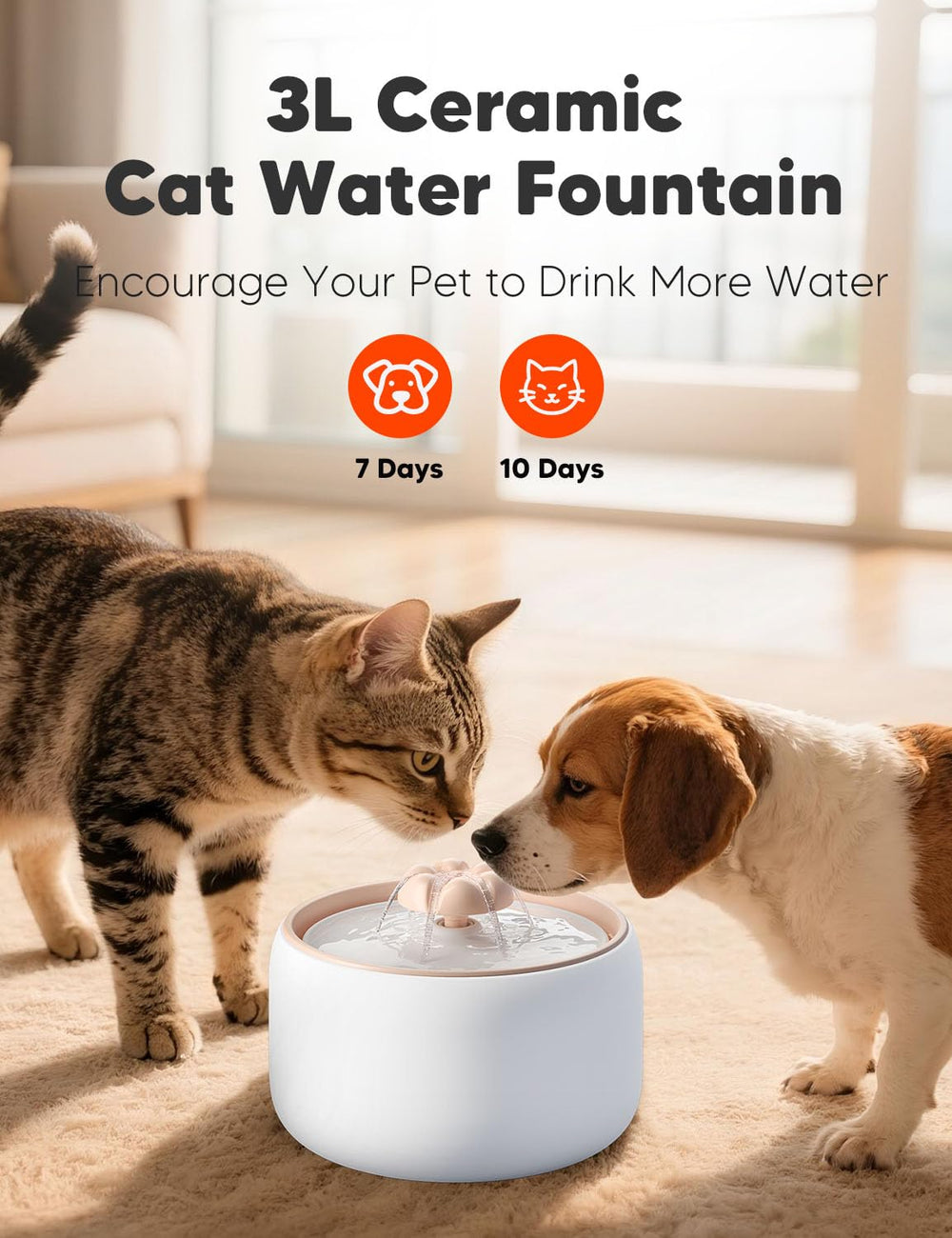 WOPET W03 Lite ultra-quiet pump ensures peaceful drinking for cats and small dogs.