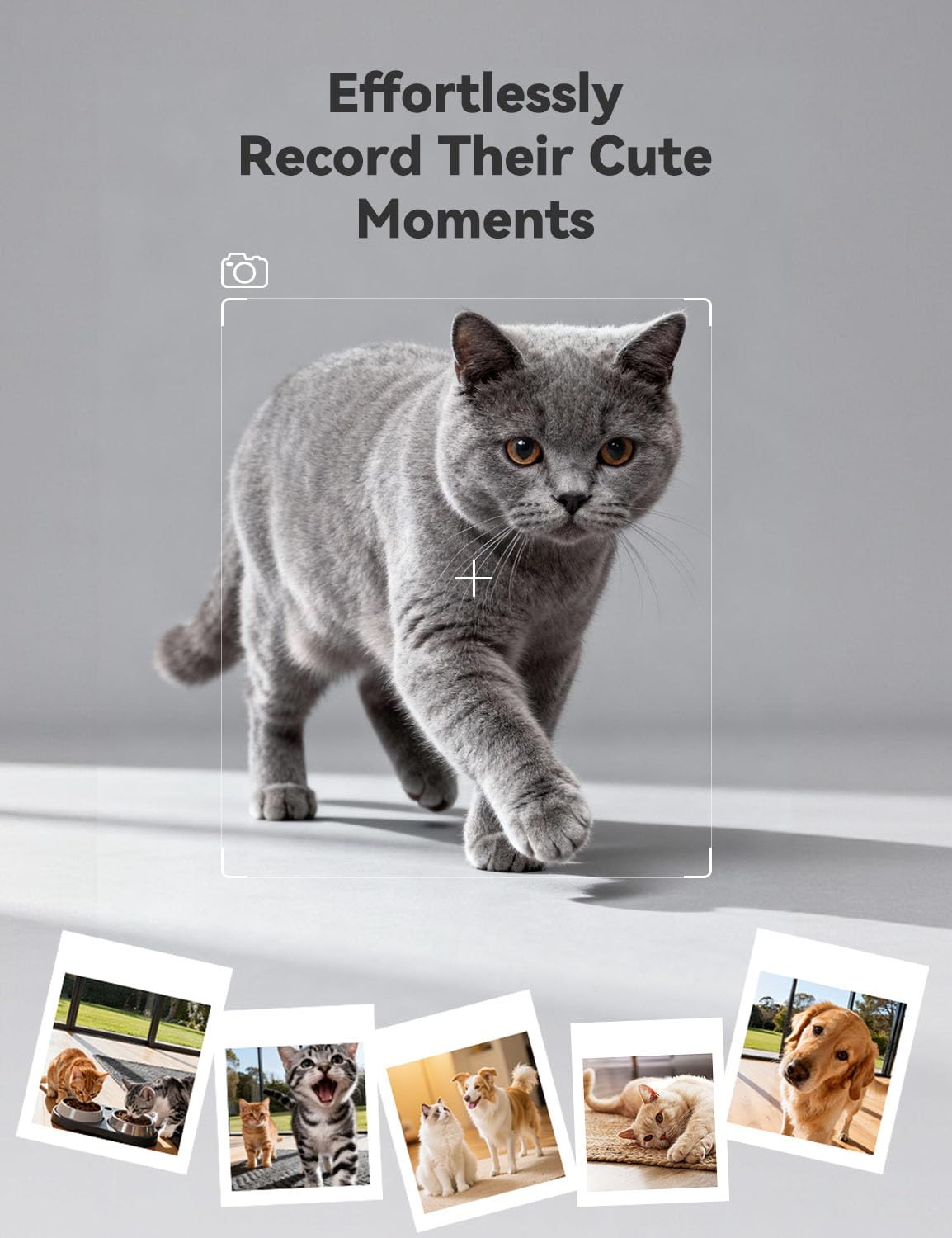 WOPET two-way audio lets you talk to pets during meals.