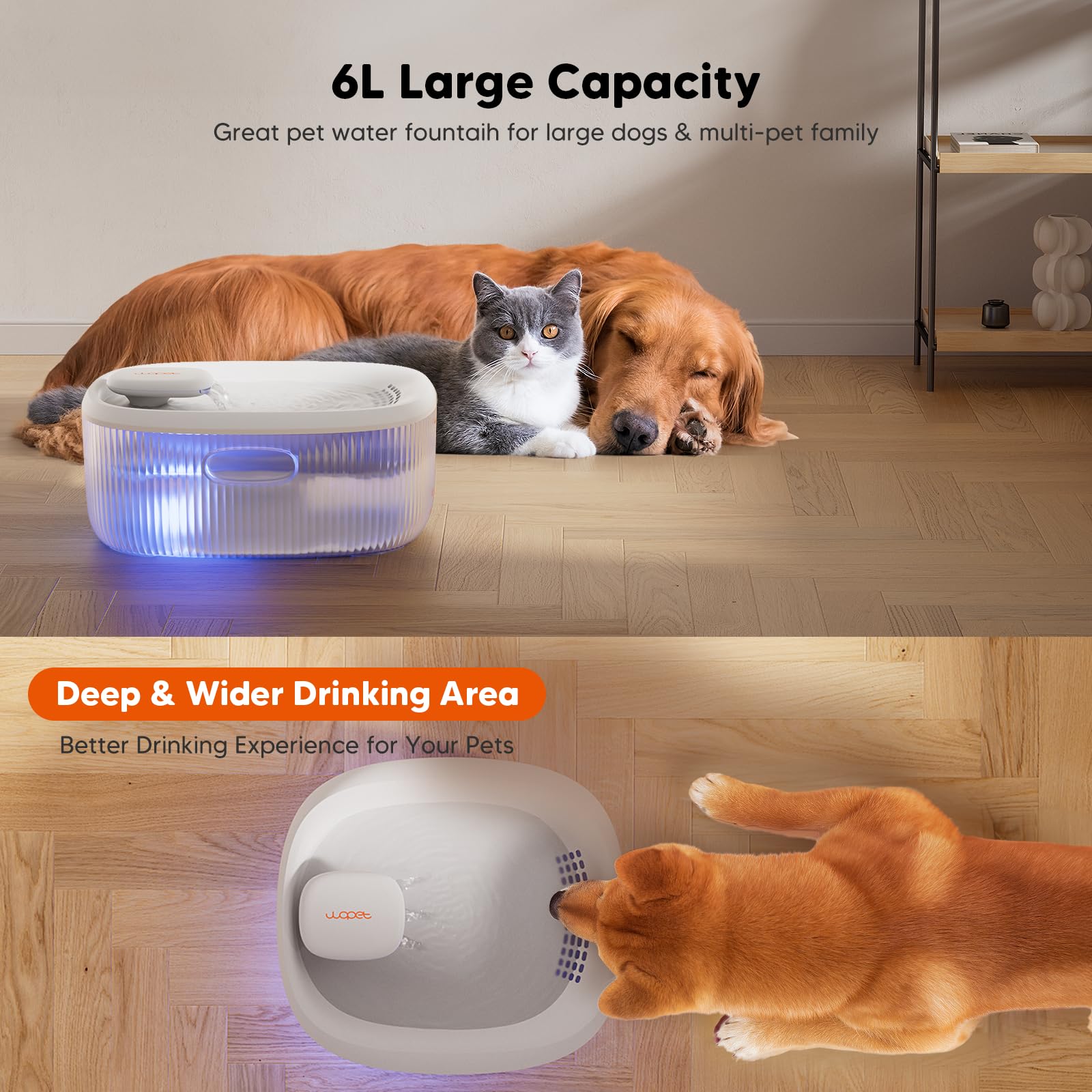 WOPET wide drinking area for comfortable multi-pet drinking.