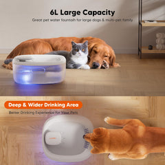 WOPET wide drinking area for comfortable multi-pet drinking.