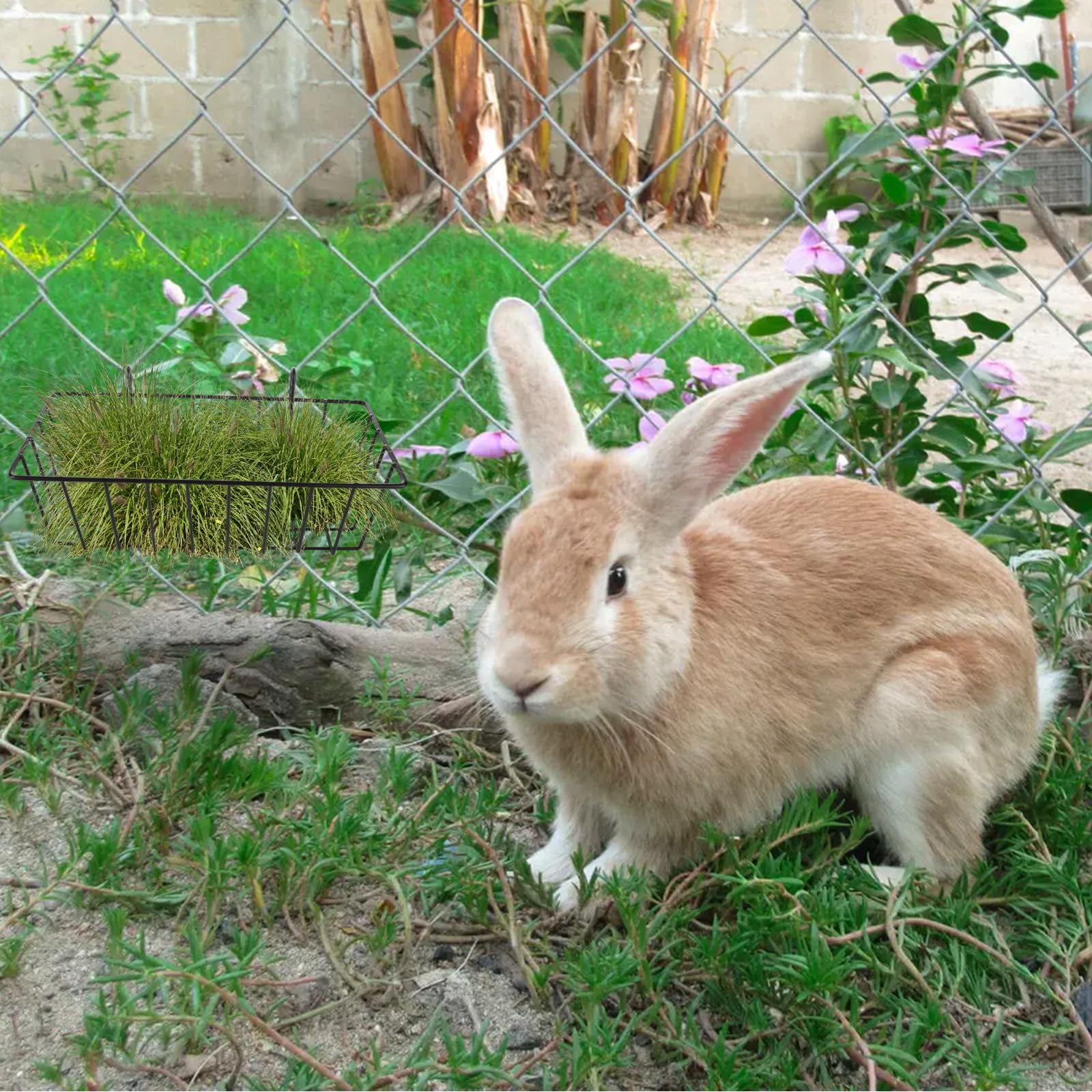 WOPPLXY easy-clean hay feeder features smooth edges for pet safety.