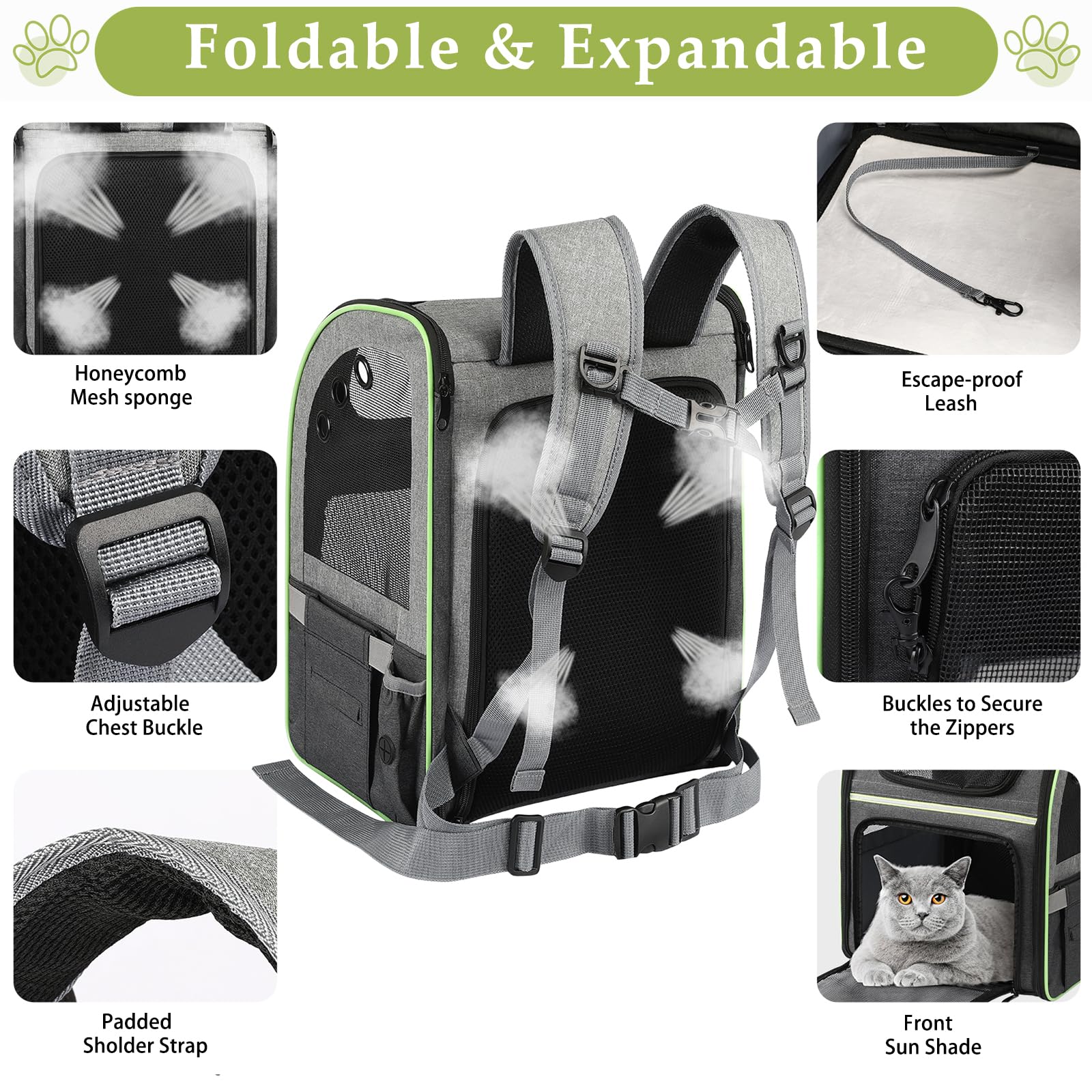 Worfty airline-approved cat carrier fitting under-seat space