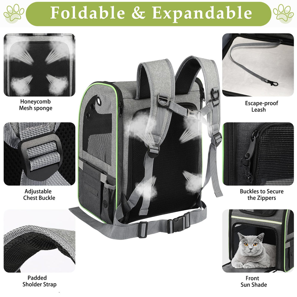 Worfty airline-approved cat carrier fitting under-seat space