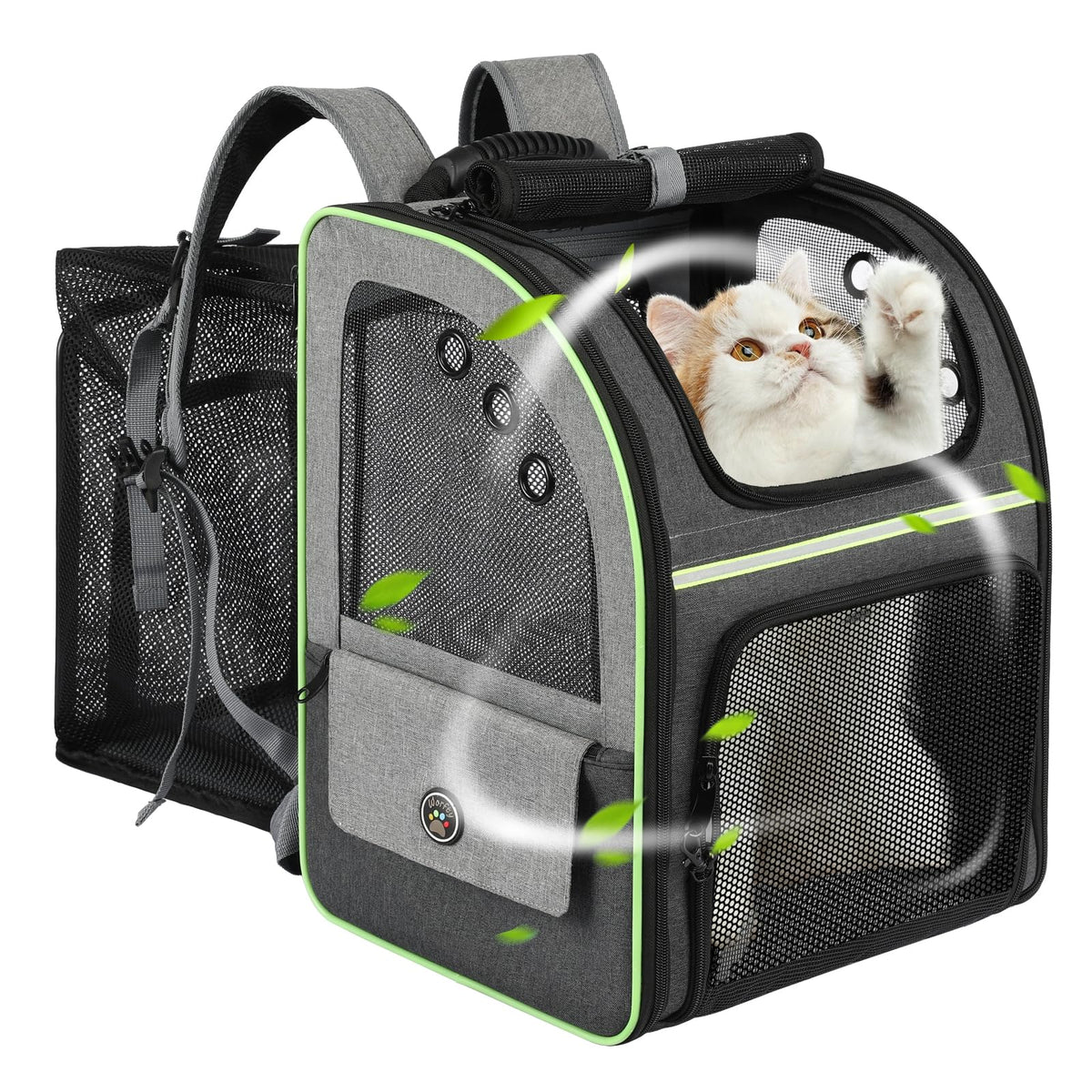 Worfty cat carrier backpack with reinforced frame for stable travel