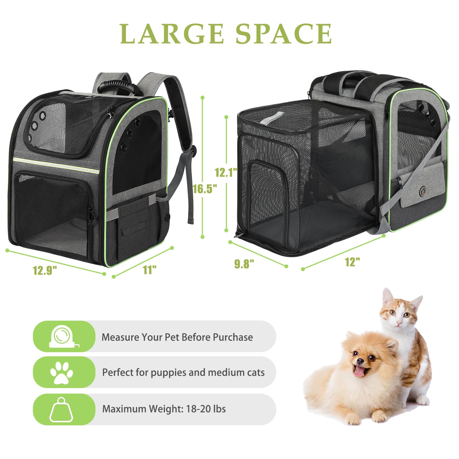 Worfty expandable cat carrier showing extended interior space