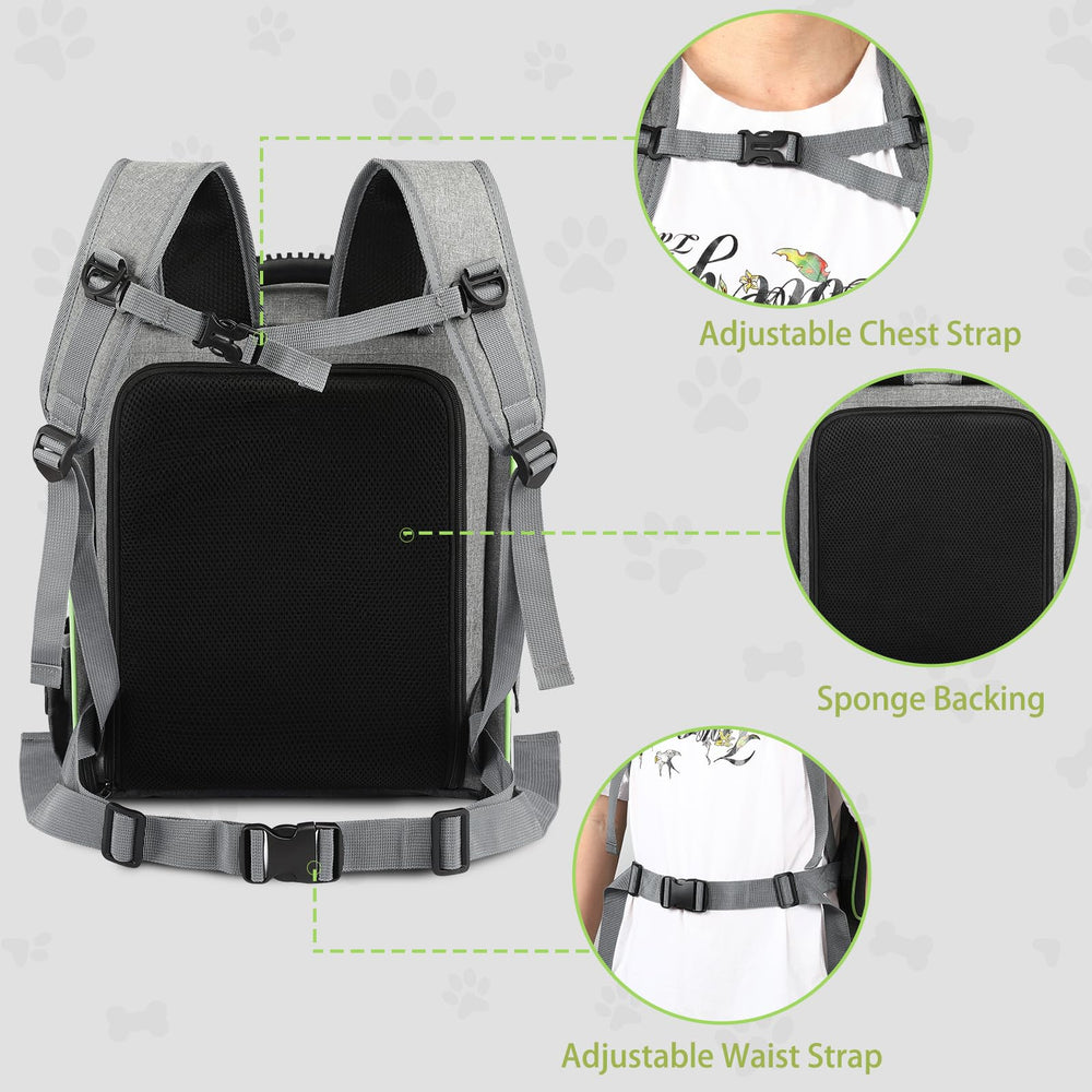 Worfty carrier with pockets for treats and wipes during outings