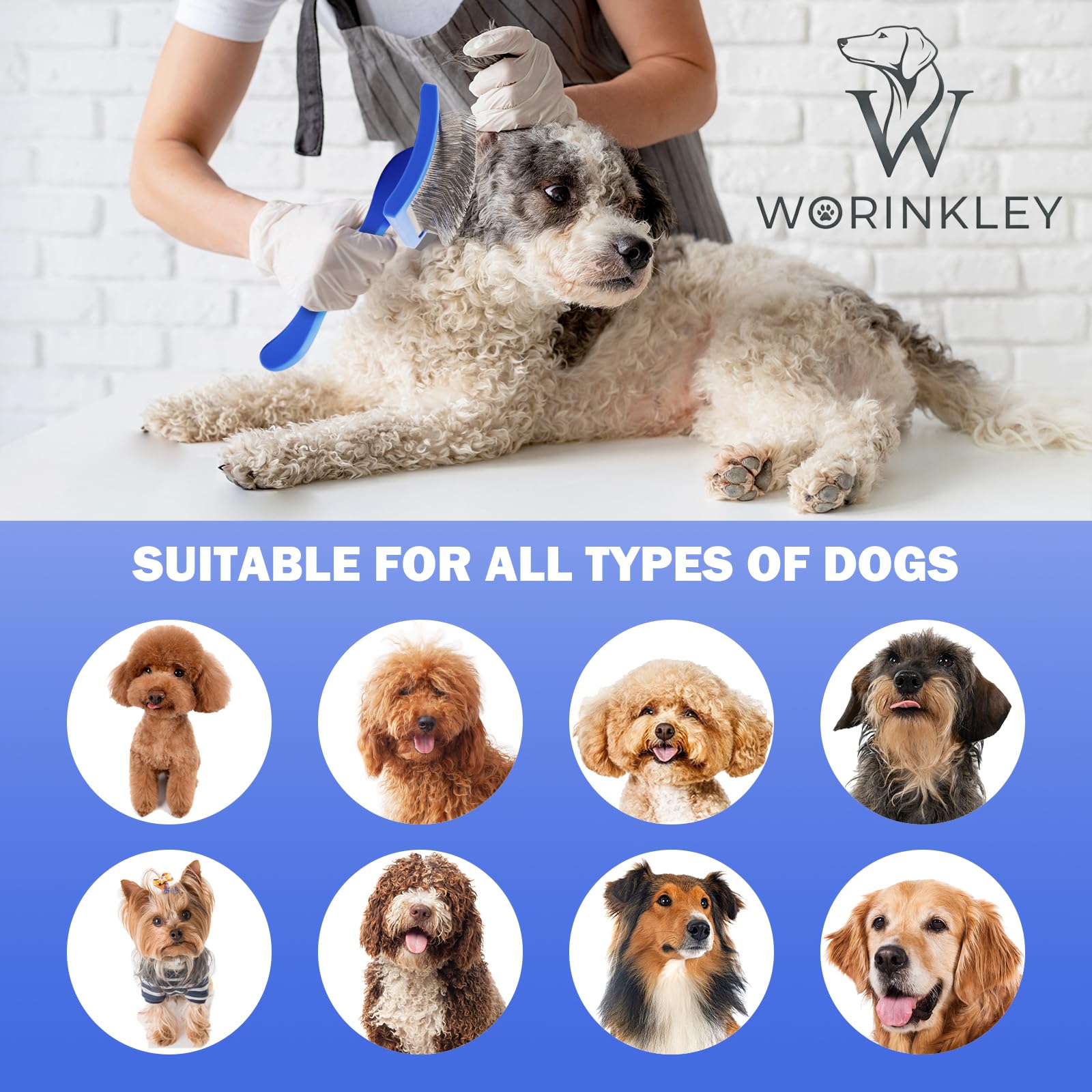 Worinkley grooming tool ideal for Goldendoodles and Labradoodles
