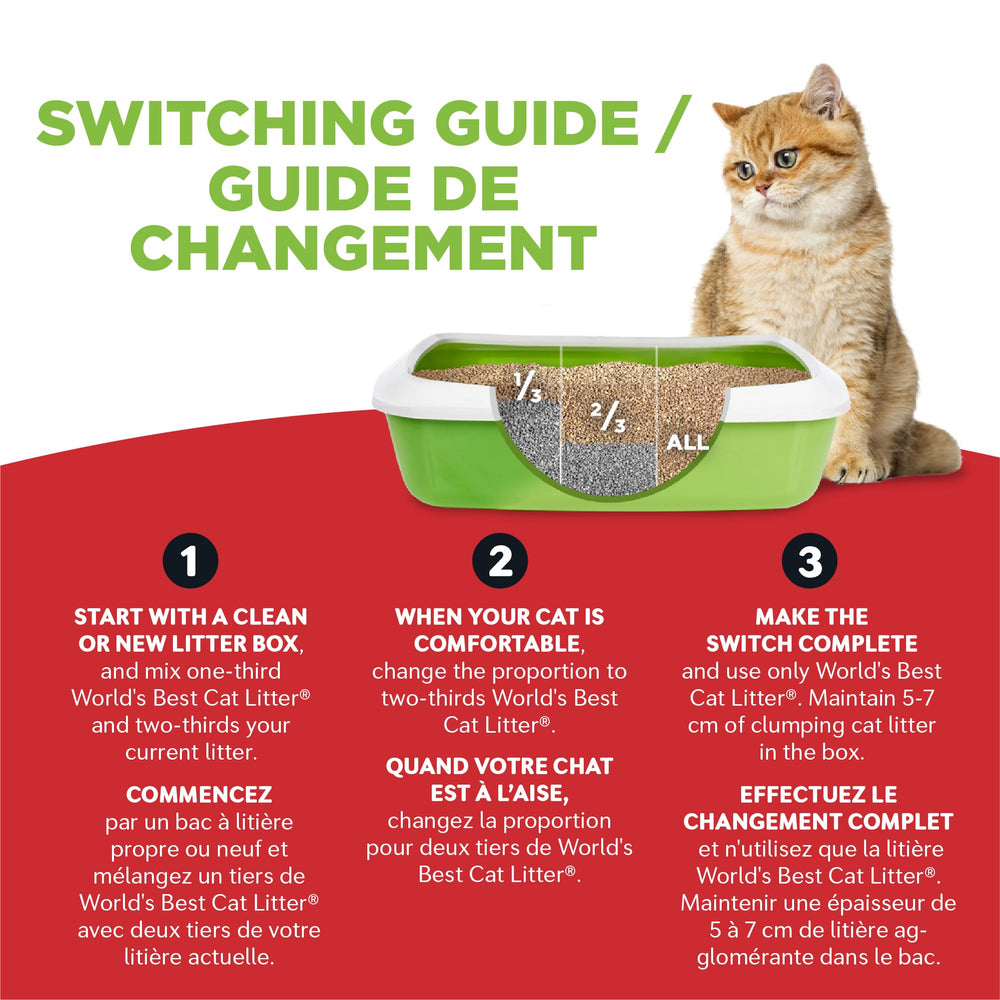 World's Best Cat Litter demonstrates clumps-on-contact for quick scooping