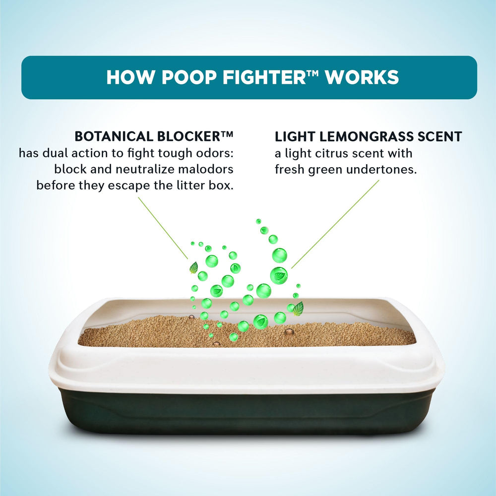World's Best Cat Litter Quick Clumping Easy Scoop supports fast cleanup after multi-cat visits.