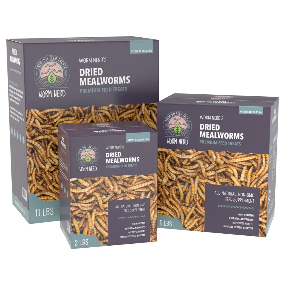 Storage jar of Worm Nerd WN60 dried mealworms for easy storage.