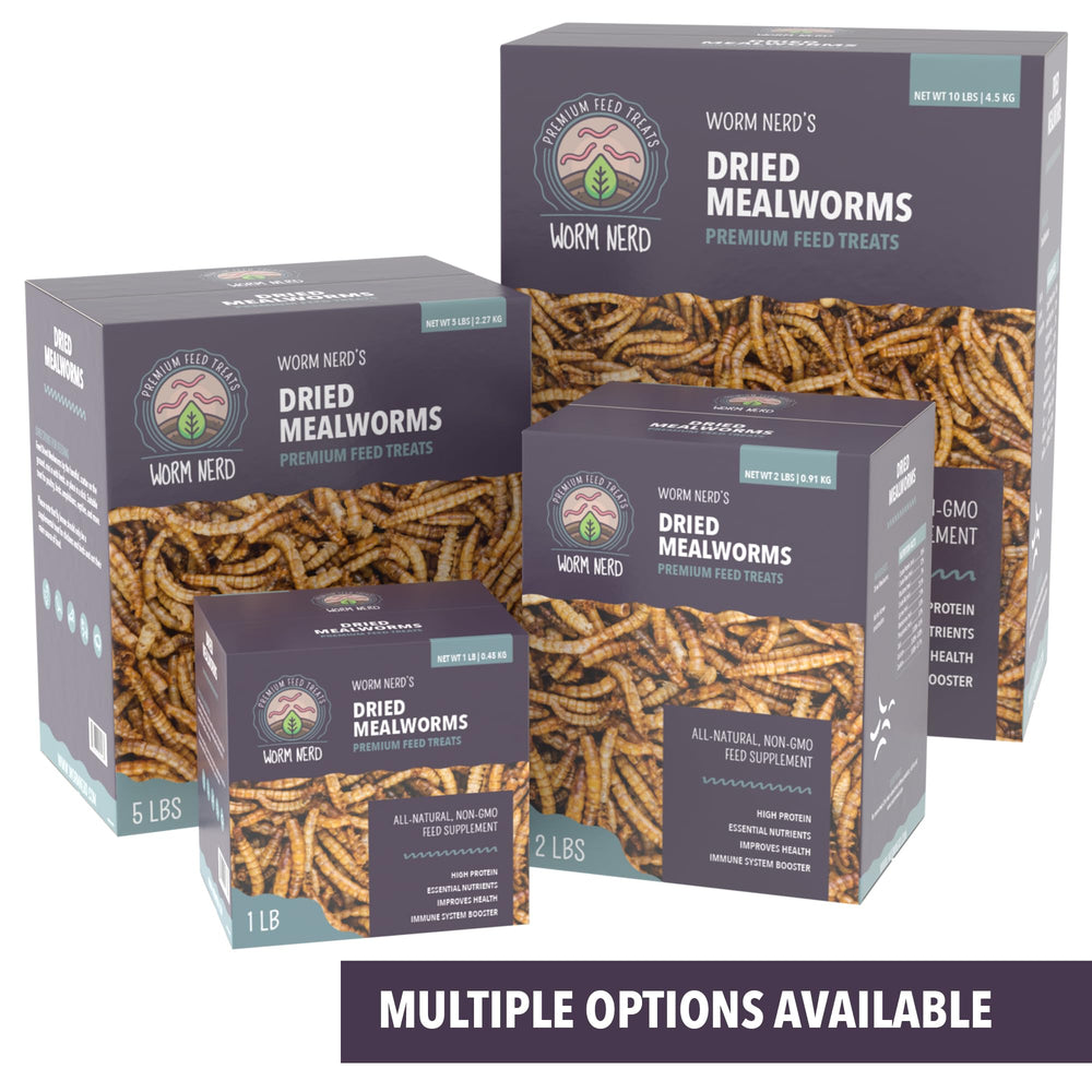 Worm Nerd WN61 product shot in reptile tank feeding setup.