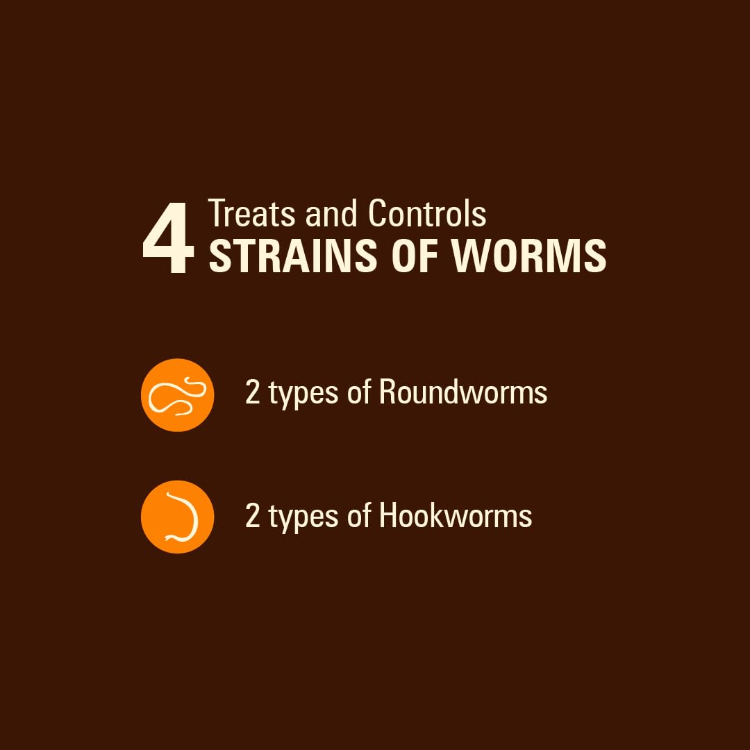 WORM X PLUS liquid dog wormer dose syringe for precise amounts.