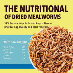 WormsFarm dried mealworms for chickens provide a tasty protein snack
