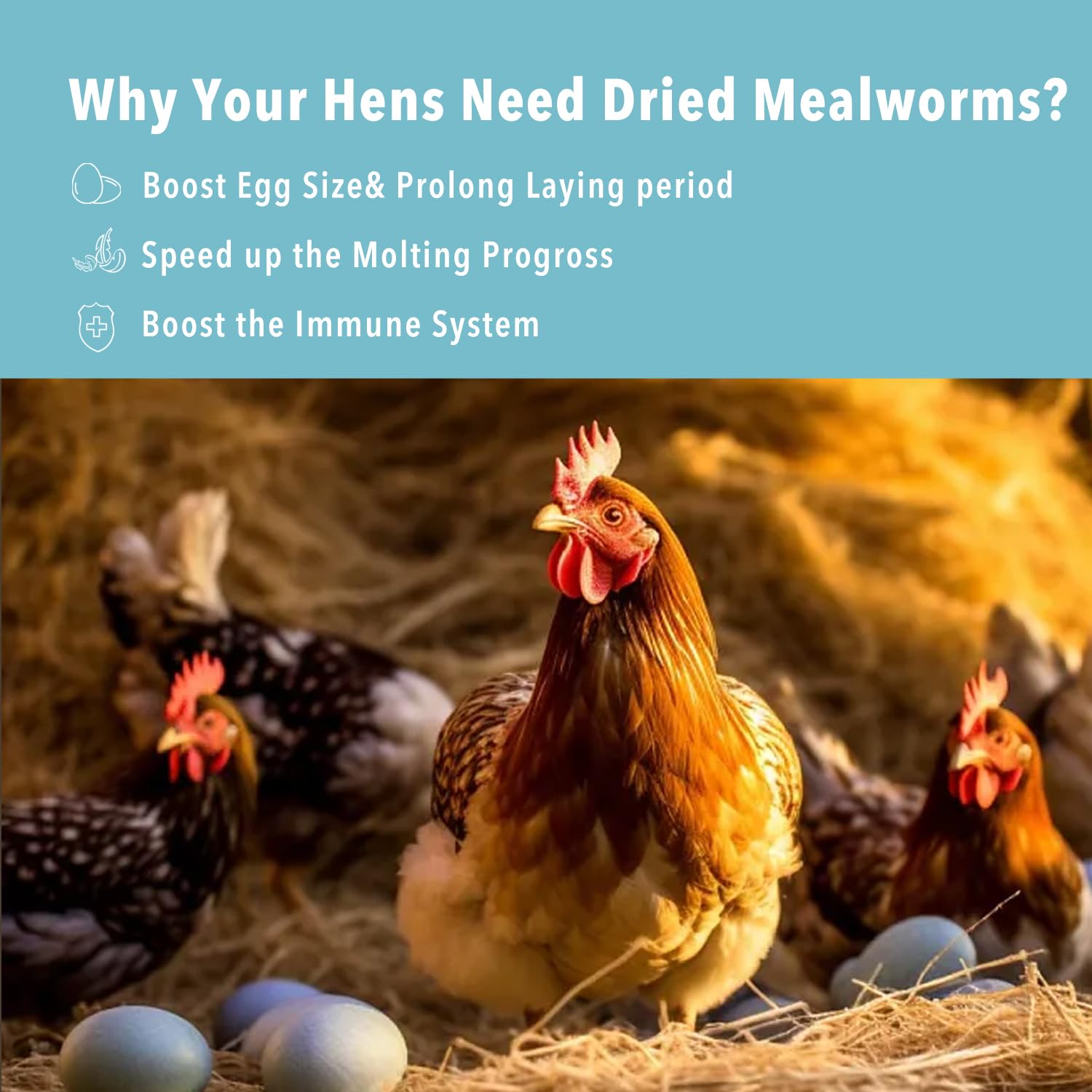WormsFarm dried mealworms in box packaging stay crispy and fresh.