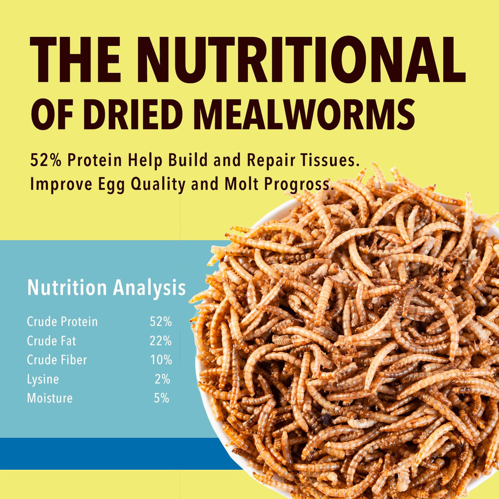 WormsFarm bulk mealworms for birds attract wild birds with tasty crunch.