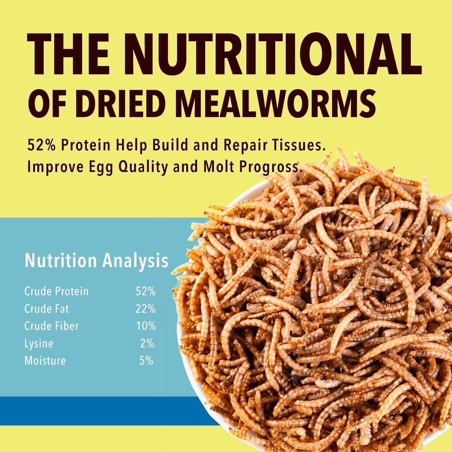 WormsFarm mealworms snacks in bowl attract birds and chickens