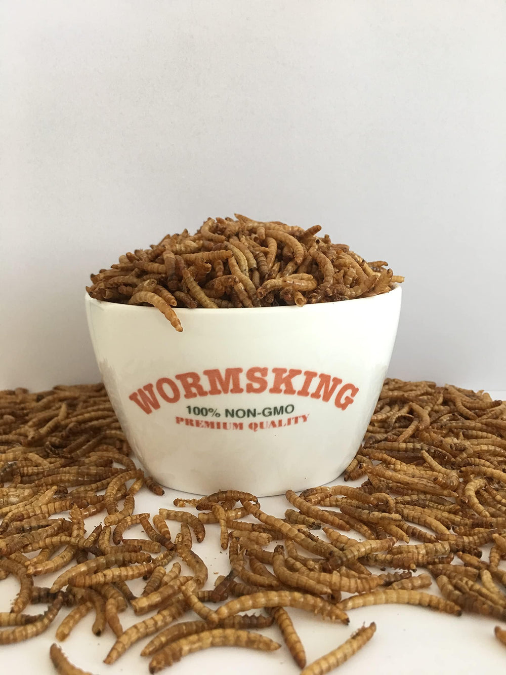 Chick starter mix with WORMSKING BSF larvae for early growth