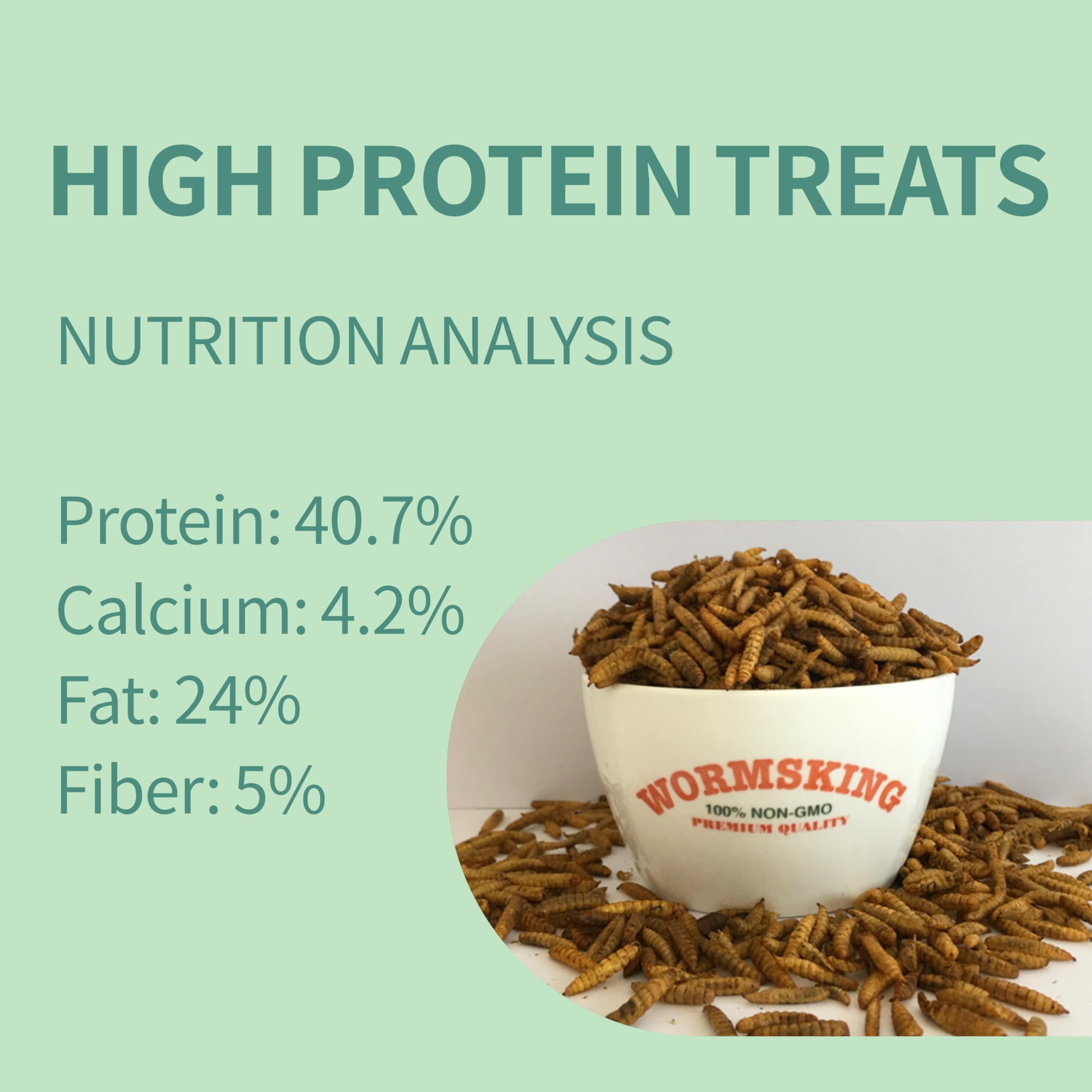 Close-up of WORMSKING BSF larvae highlighting high-protein poultry feed