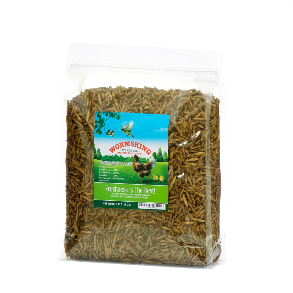 WORMSKING BSF larvae pile boosts poultry protein with a tasty, protein-rich snack.