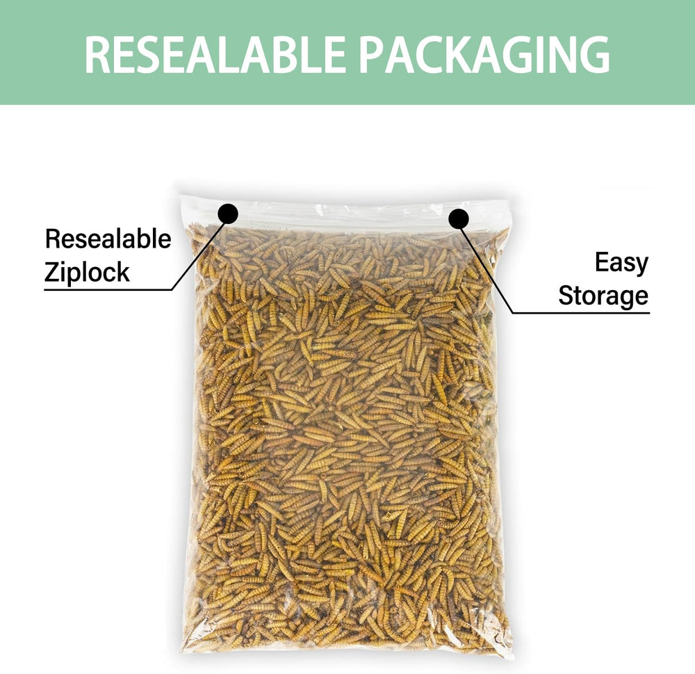 WORMSKING BSFL immune-support-nutrition supports hardy birds and healthy feathering
