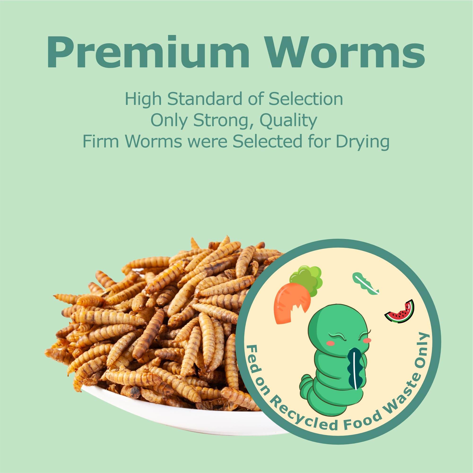 WORMSKING storage guidance and shelf life for BSF larvae.