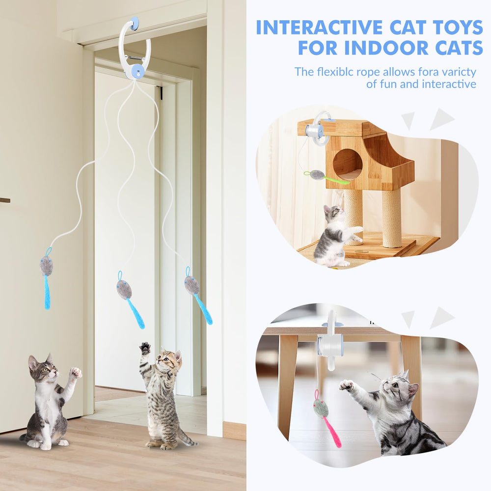 Wortade automatic 15-minute play mode providing lively cat entertainment.