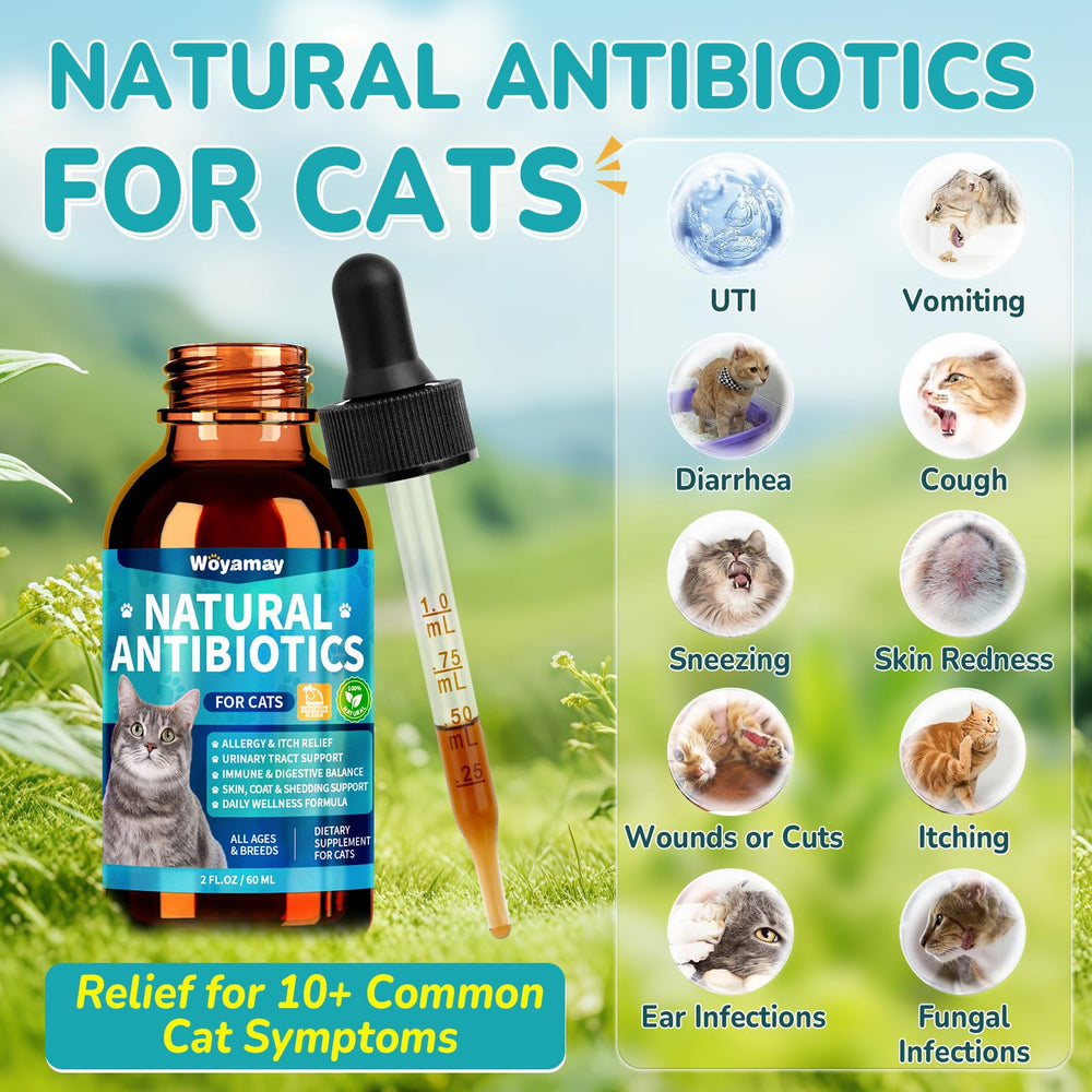 Woyamay cat antibiotic drops being poured into food for convenient dosing.