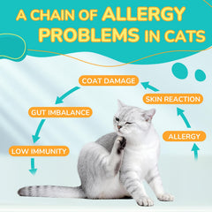 Woyamay Cat chicken-flavored chews entice picky eaters while supporting allergy relief.