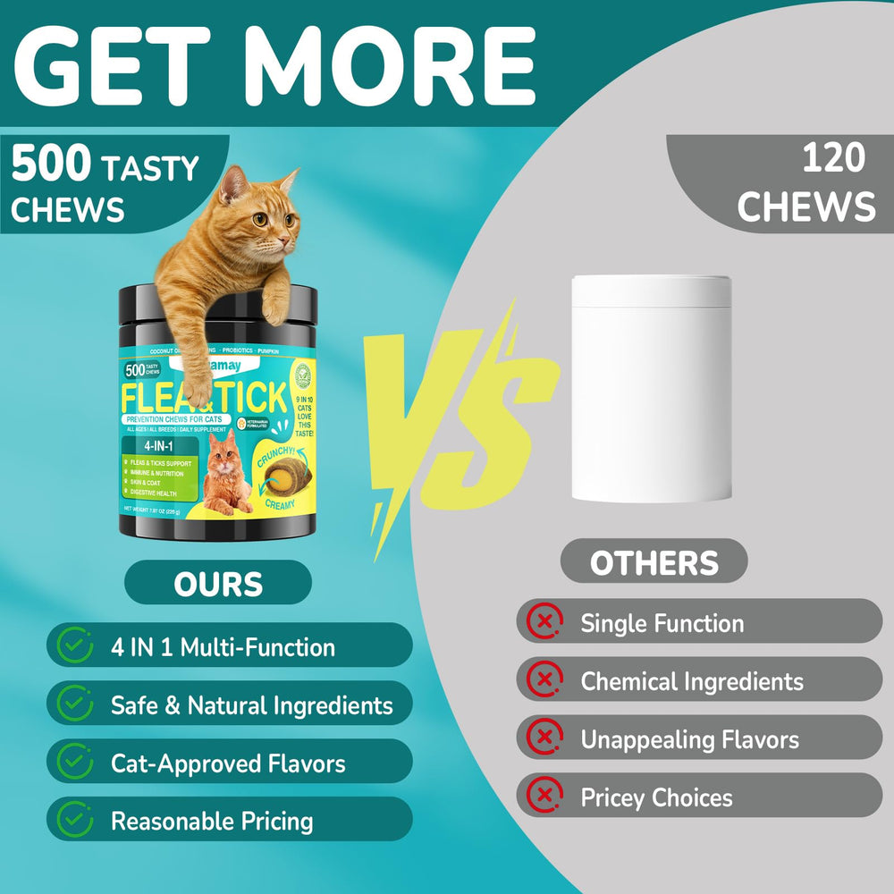 Woyamay cat enjoying daily chew as part of routine