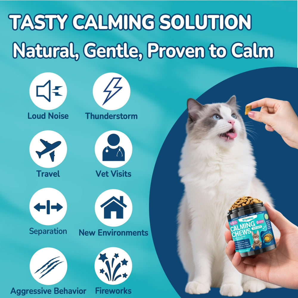 Woyamay cat treats offered as part of daily feeding to support mood