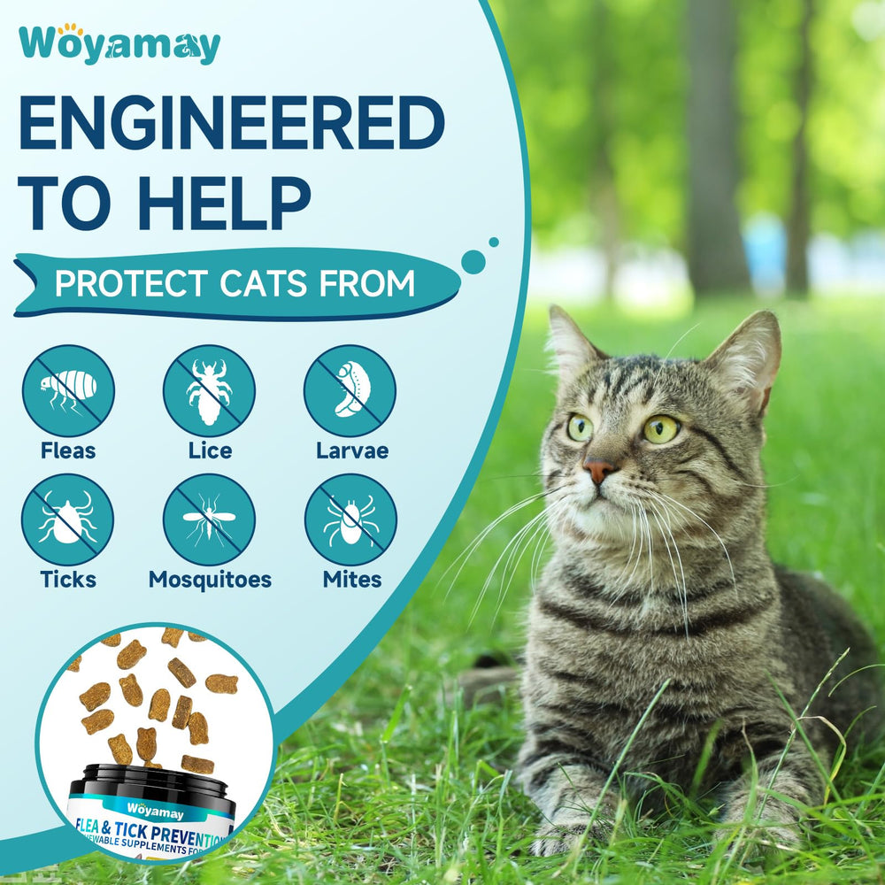 Woyamay cat treats ready to offer: simple daily routine for preventive care.