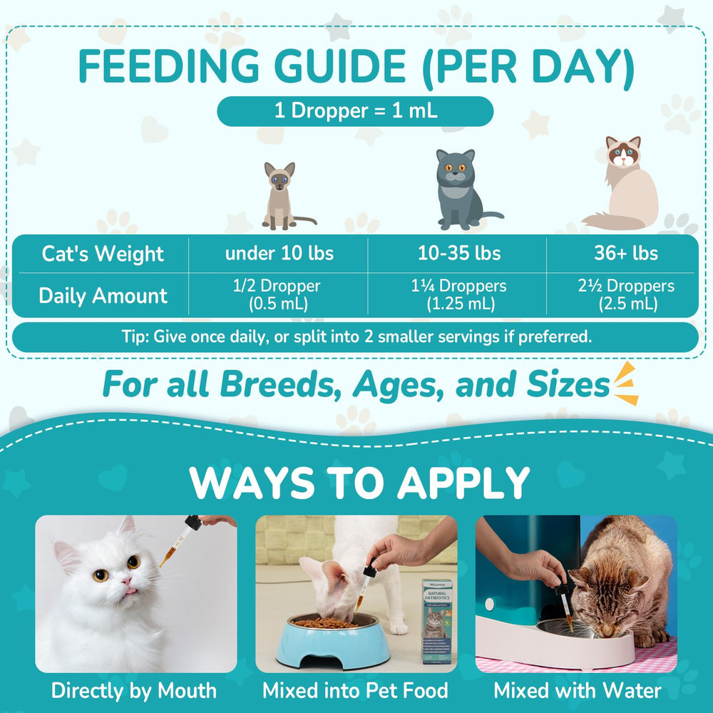 Woyamay chicken-flavored formula appealing to cats during daily routine.