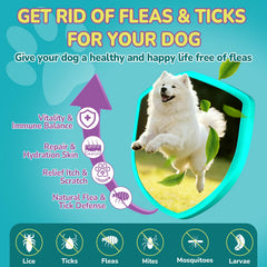 Close-up of chicken-flavored Woyamay chews appealing to dogs.