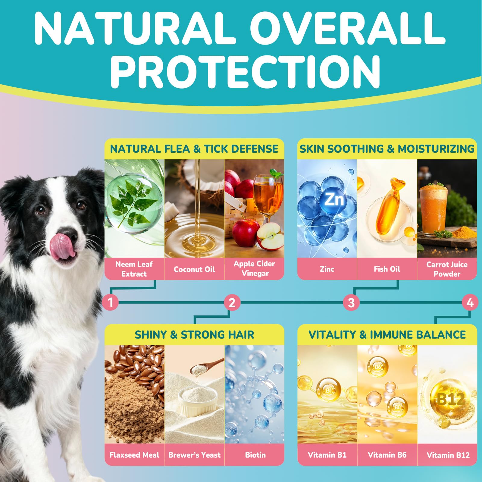 Woyamay daily-use chews shown with a dog, suggesting routine protection against pests.