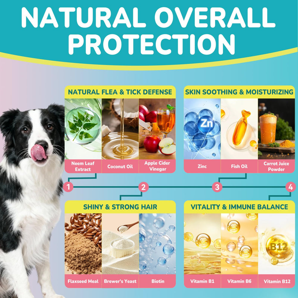 Woyamay daily-use chews shown with a dog, suggesting routine protection against pests.