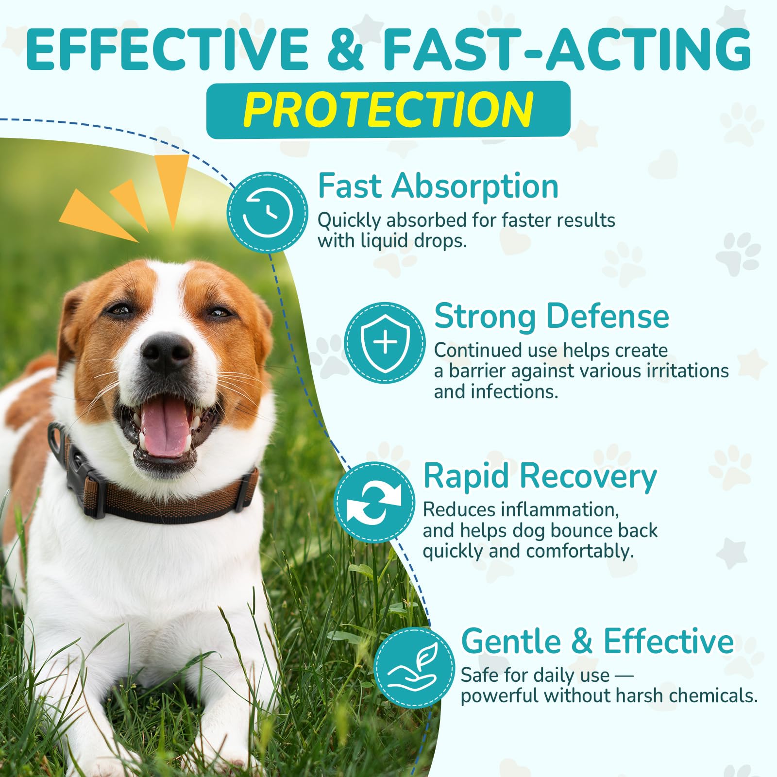 Woyamay dog antibiotics bacon flavor, a tasty way to support daily wellness.