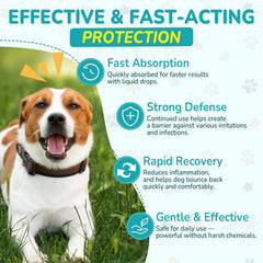 Woyamay dog antibiotics bacon flavor, a tasty way to support daily wellness.