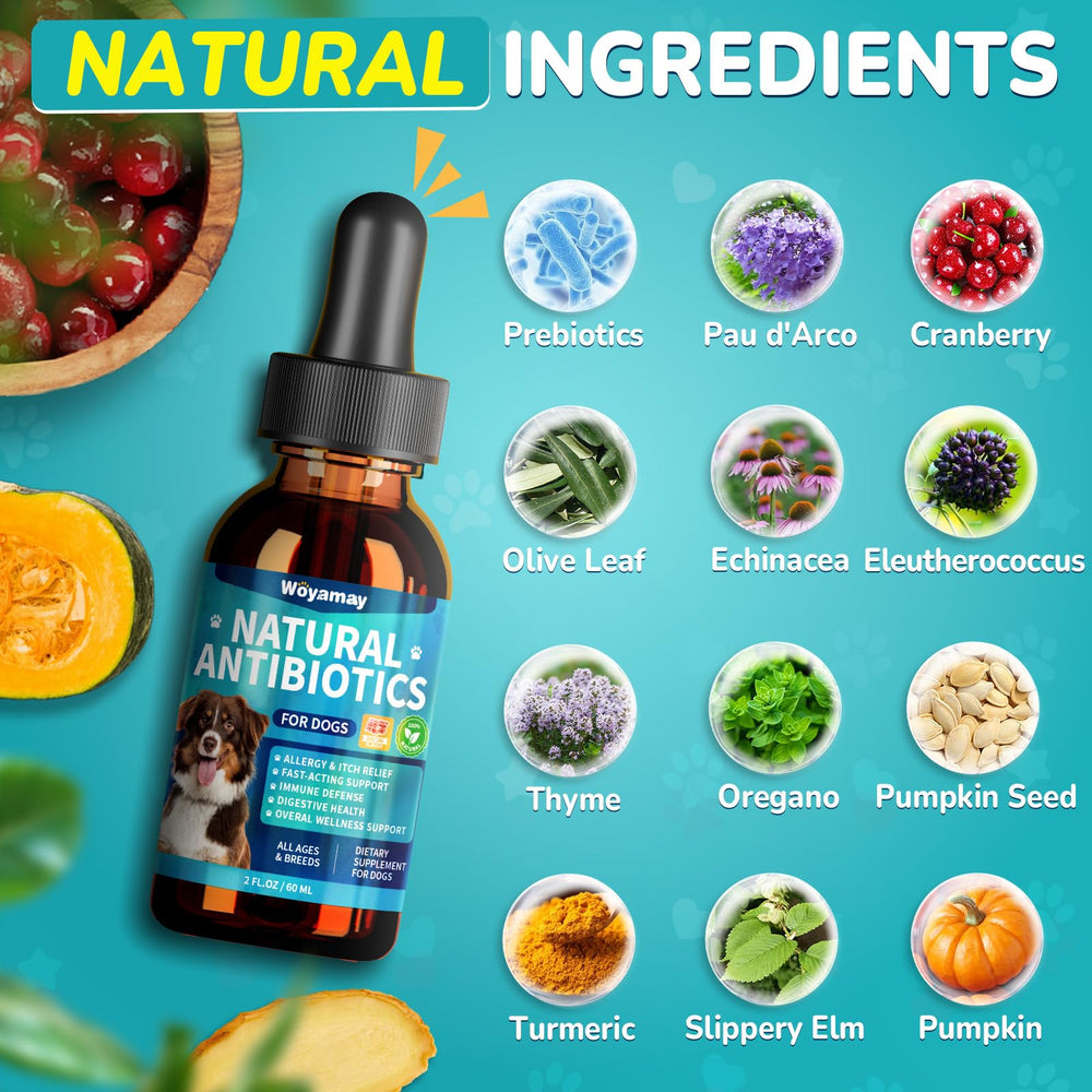 Woyamay dog antibiotics ingredients olive leaf and cranberries for natural support.